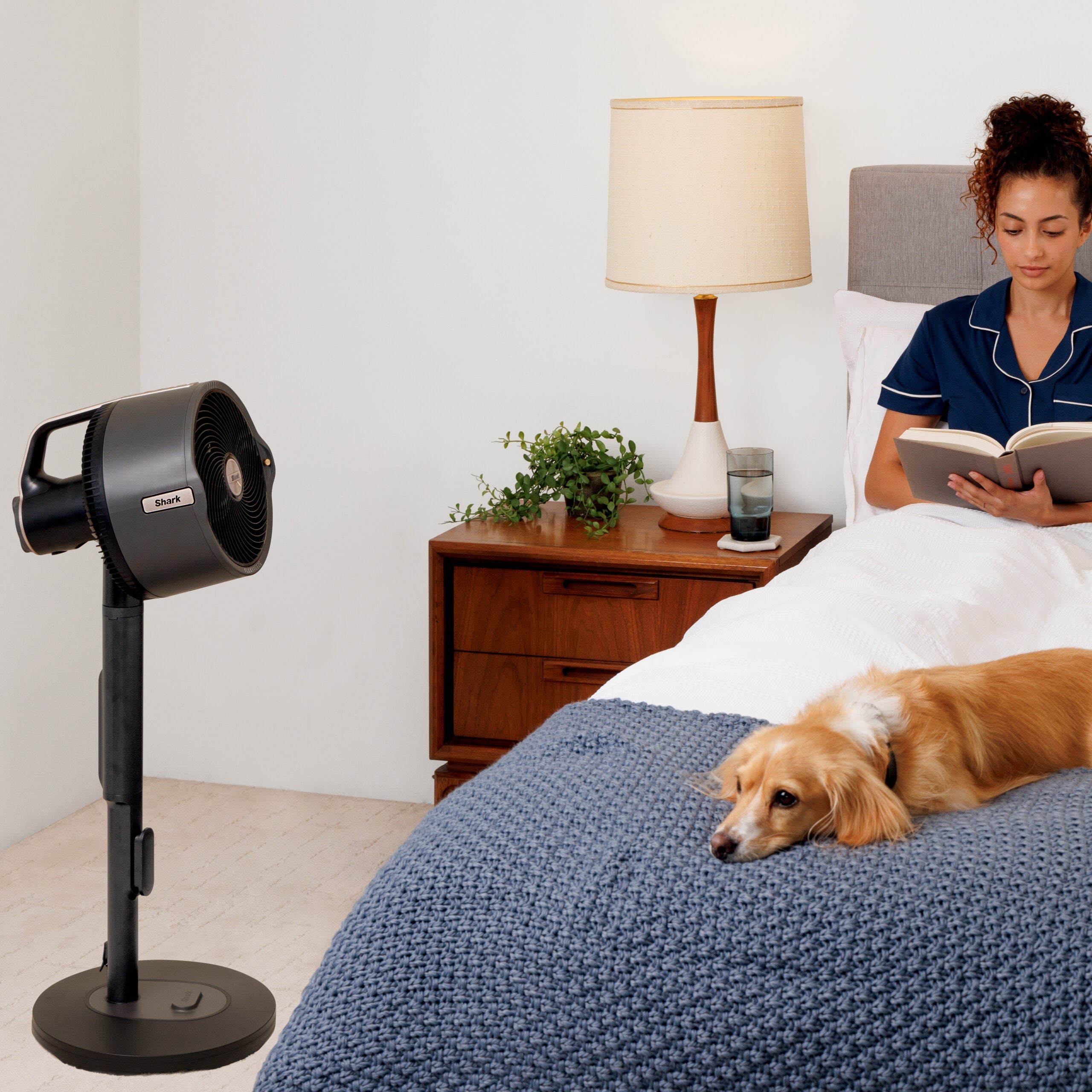 Shark FlexBreeze™ ProMist FA300EU Bezdrátový ventilátor s funkcí vodní mlhy