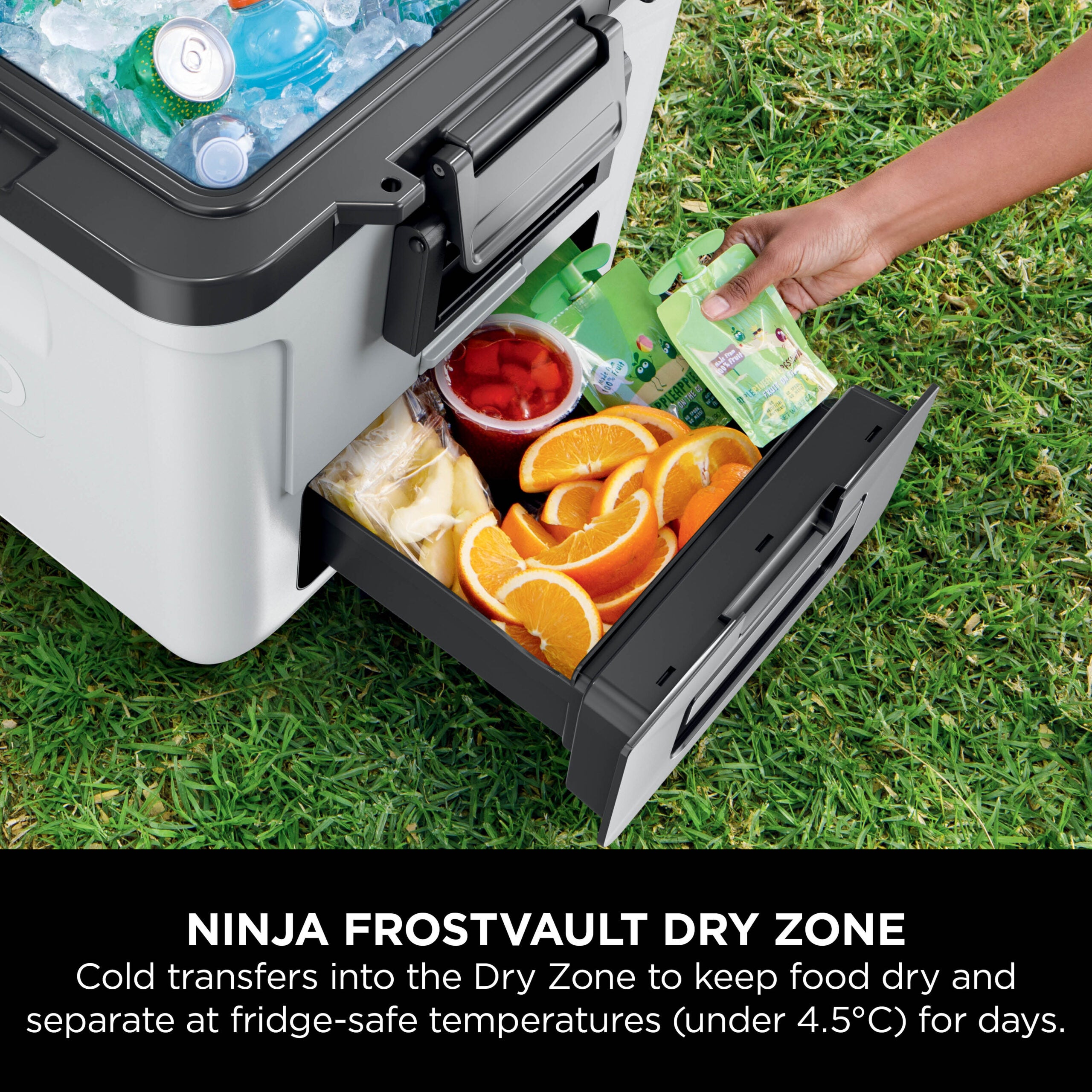 Ninja FB230EUWH Frost Vault Kolečkový chladicí box  – 28L – Bílá
