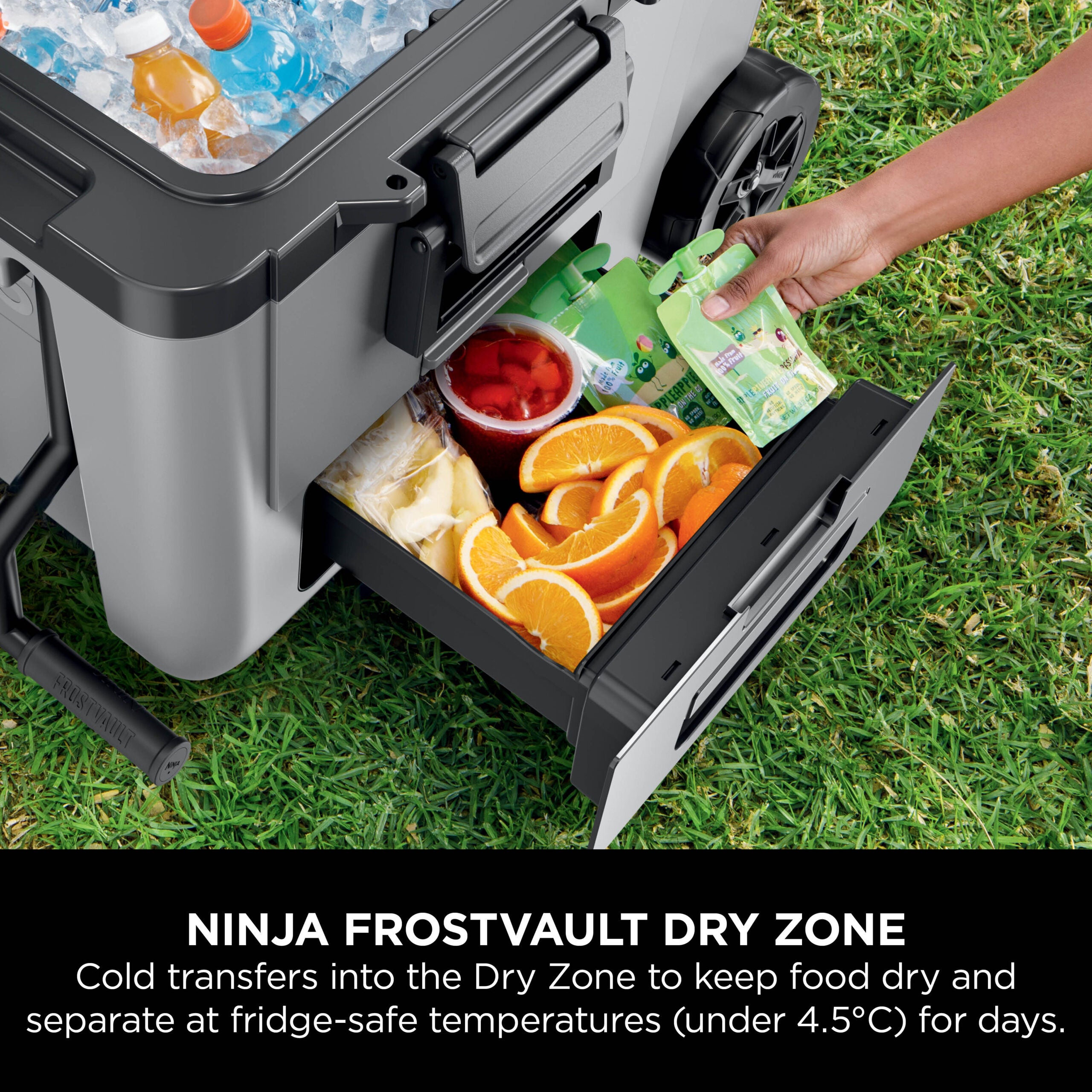 Ninja FB245EUGY Frost Vault Kolečkový chladicí box – 42L – Břidlicově šedá