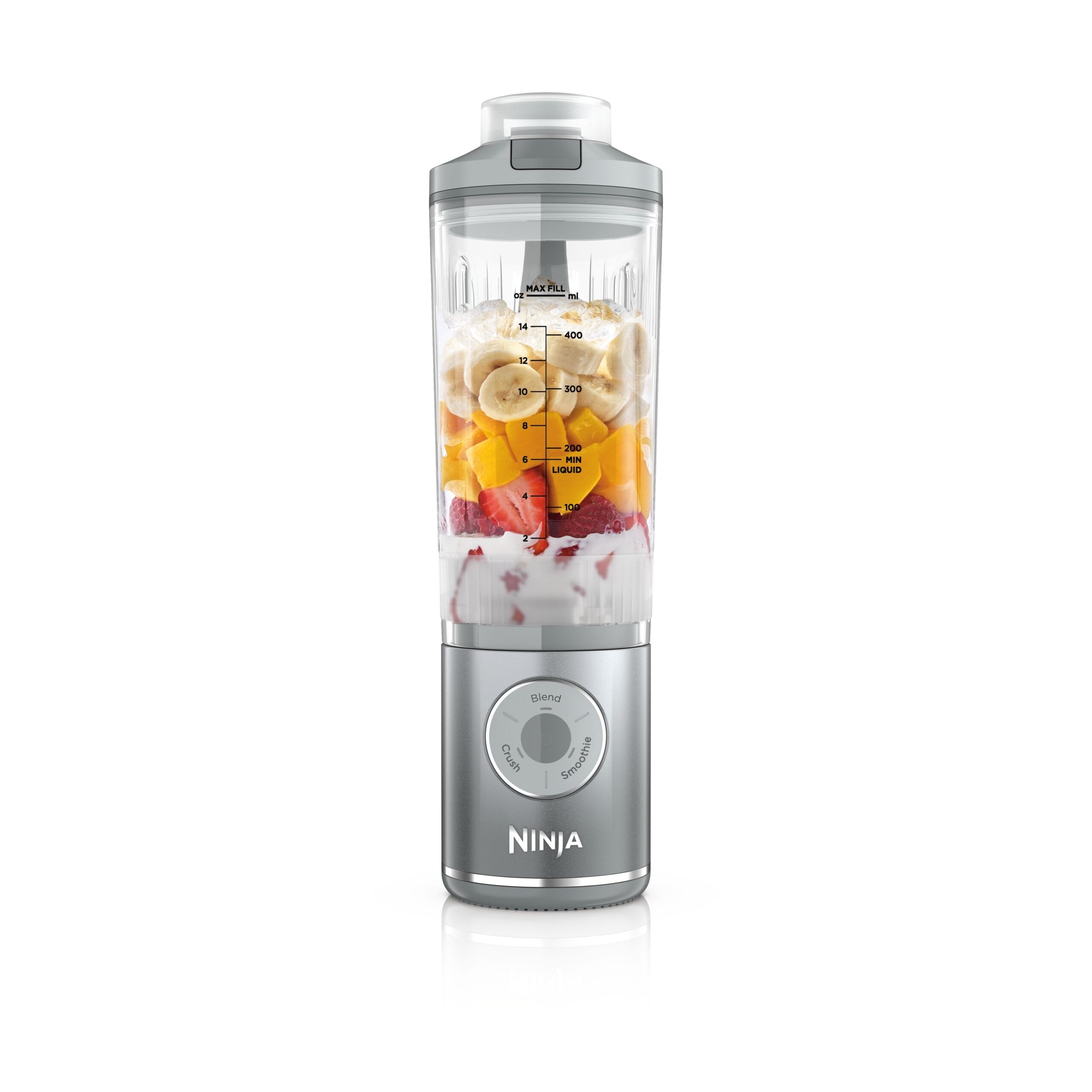 Ninja BC251EUSL BlastMax Bezdrátový mixér – Stříbrny