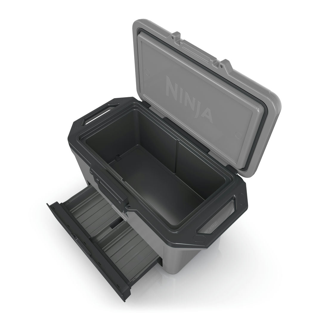 Ninja FB151EUGY Frost Vault Chladicí box - 47L - Šedý