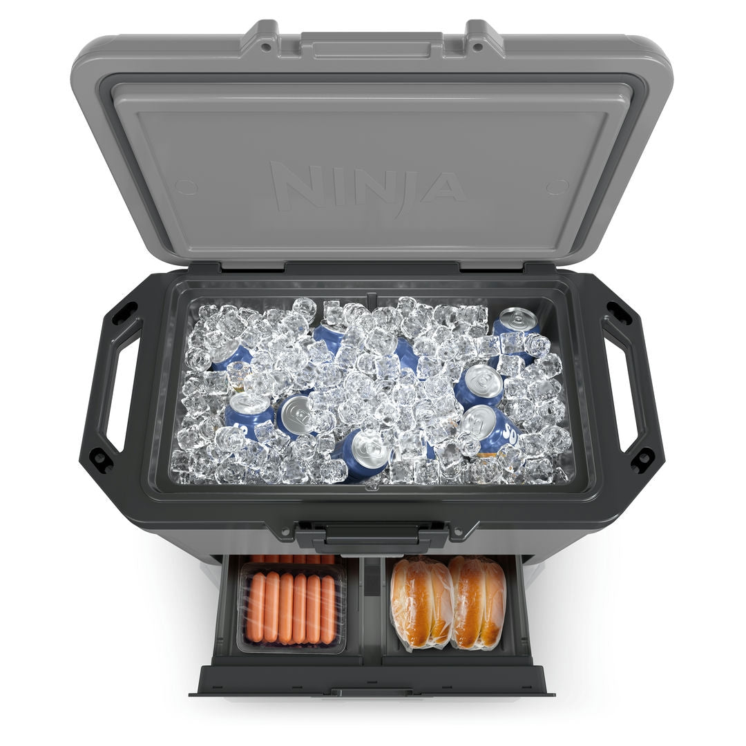 Ninja FB151EUGY Frost Vault Chladicí box - 47L - Šedý